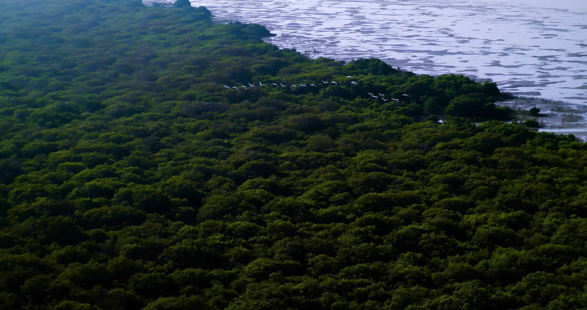 Energy-Efficient Lighting